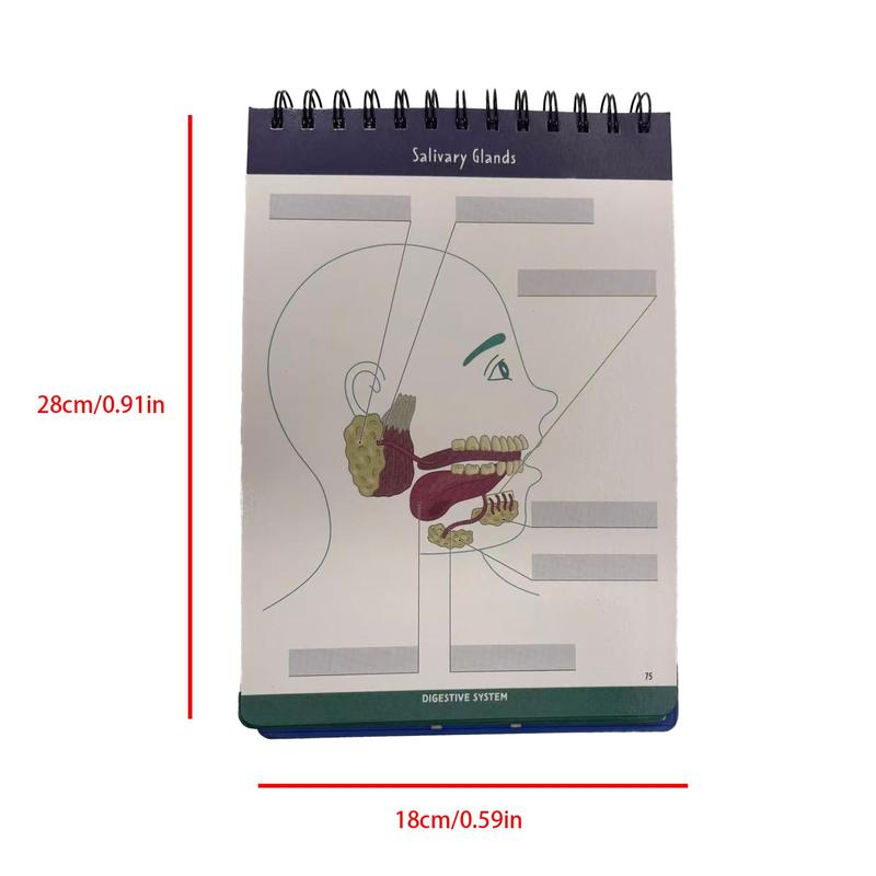 Anatomical Structure Labeling Exercise Book | Dry Erase Anatomy Workbook