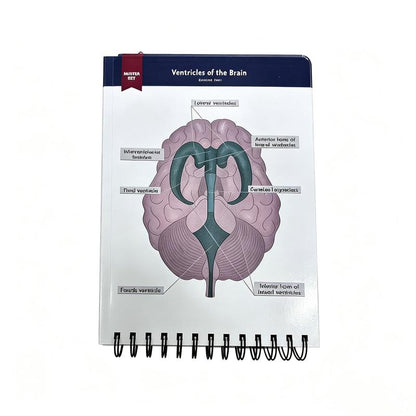 Anatomical Structure Labeling Exercise Book | Dry Erase Anatomy Workbook