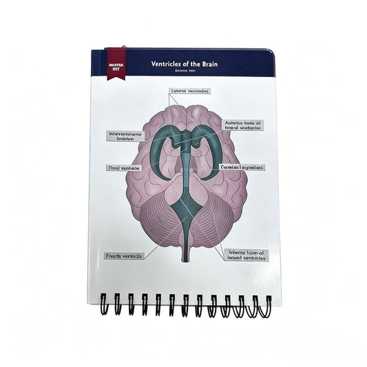 Anatomical Structure Labeling Exercise Book | Dry Erase Anatomy Workbook