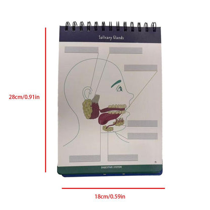 Anatomical Structure Labeling Exercise Book | Dry Erase Anatomy Workbook